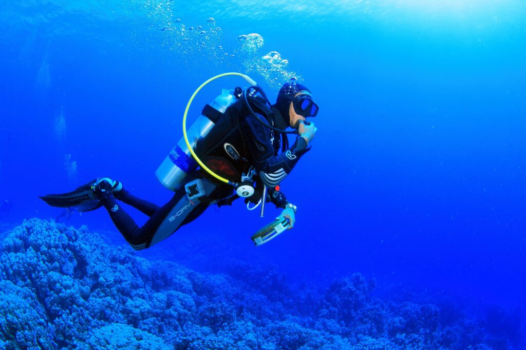 Diving in the Red Sea